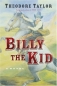 Billy the Kid : A Novel 2005 г 224 стр ISBN 0152049304 инфо 1744i.