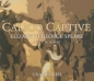 Calico Captive 2005 г 250 стр ISBN 0786180366 инфо 1960i.