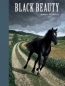 Black Beauty (Unabridged Classics) 2004 г 208 стр ISBN 1402714521 инфо 1992i.